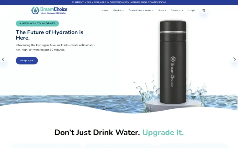 DreamChoice website